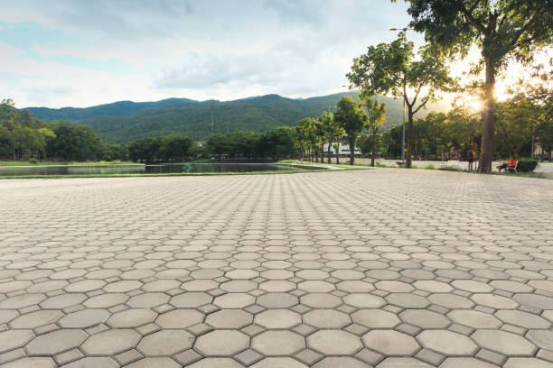 Best Custom Driveway Pavers  in Oakboro, NC